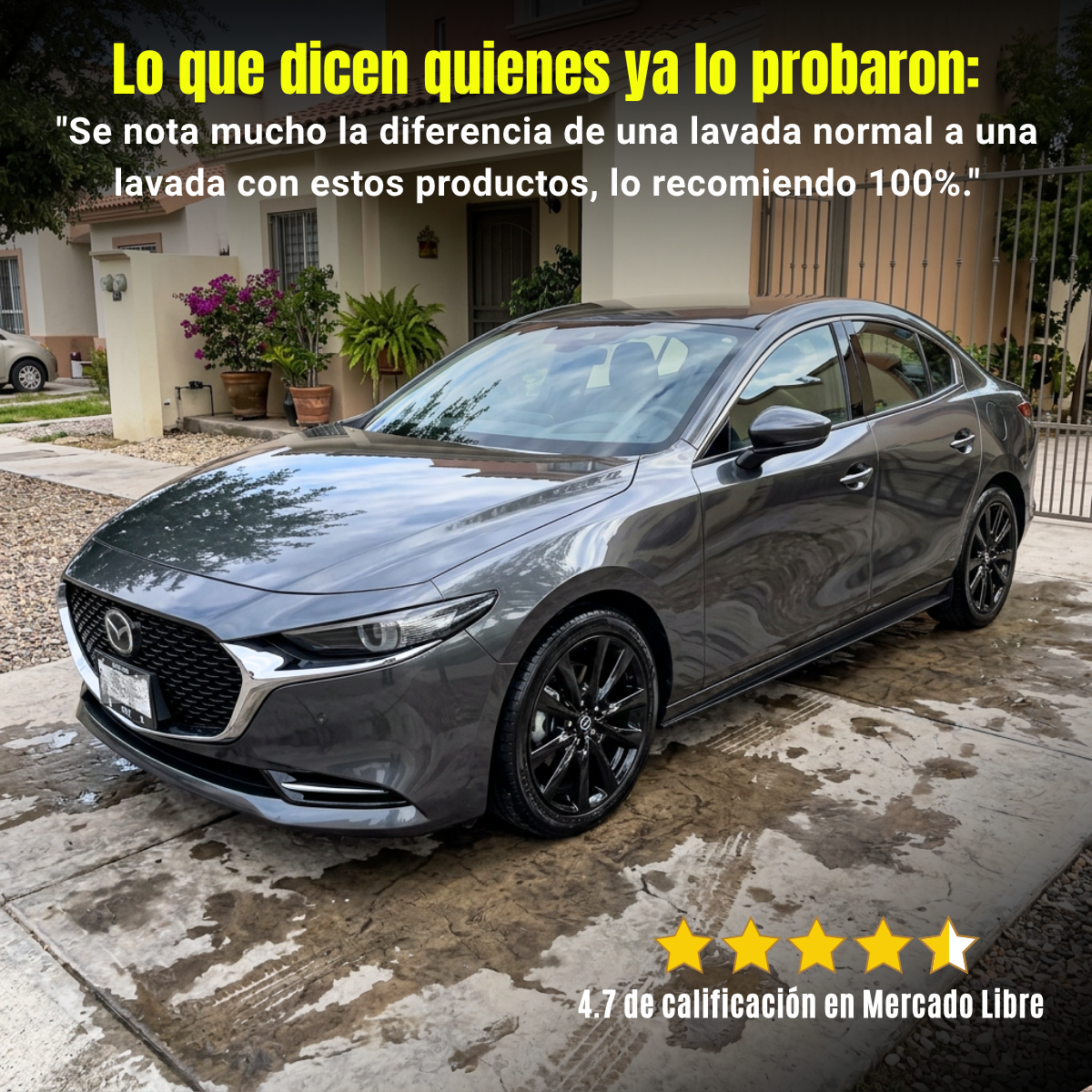 Kit Detallado Automotriz Básico